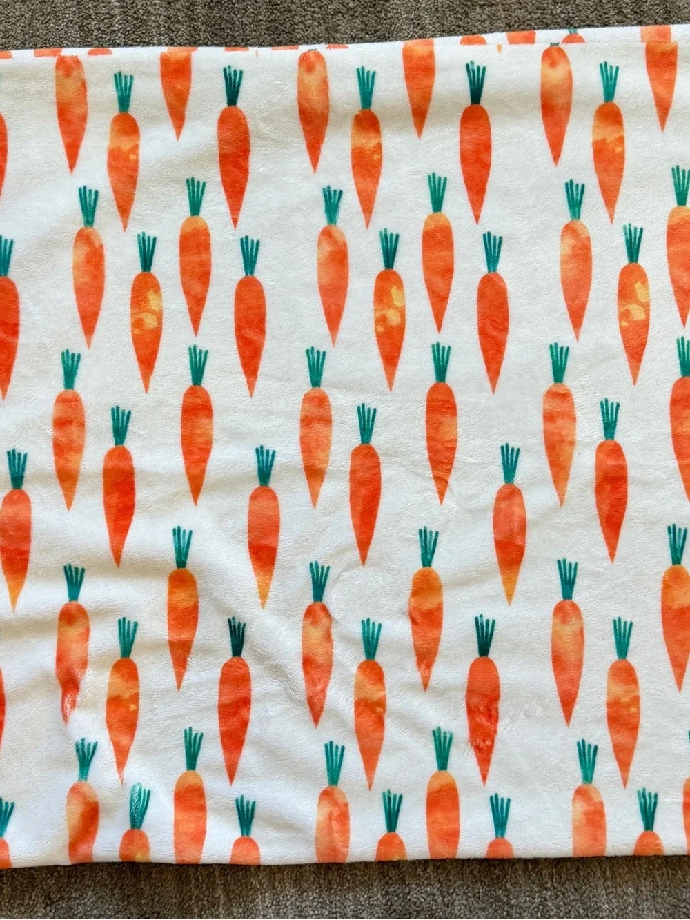 Minky Couture Carrot Print Pillowcase - Orange & Teal